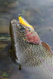 foto/diskuze/z_lovu/2012/th-img48559.jpg