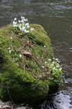 foto/diskuze/z_lovu/2012/th-img48561.jpg