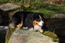 foto/diskuze/z_lovu/2012/th-img48600.jpg