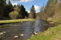 foto/diskuze/z_lovu/2012/th-img48601.jpg