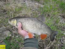 foto/diskuze/z_lovu/2012/th-img48628.jpg