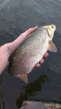 foto/diskuze/z_lovu/2012/th-img48650.jpg