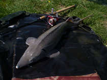 foto/diskuze/z_lovu/2012/th-img48671.jpg