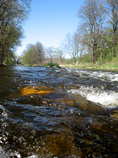 foto/diskuze/z_lovu/2012/th-img48684.jpg