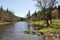 foto/diskuze/z_lovu/2012/th-img48694.jpg