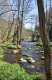 foto/diskuze/z_lovu/2012/th-img48695.jpg