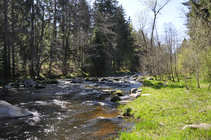 foto/diskuze/z_lovu/2012/th-img48696.jpg