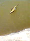 foto/diskuze/z_lovu/2012/th-img48697.jpg