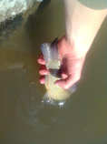 foto/diskuze/z_lovu/2012/th-img48699.jpg