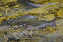 foto/diskuze/z_lovu/2012/th-img48706.jpg