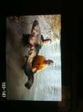 foto/diskuze/z_lovu/2012/th-img48730.jpg
