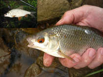 foto/diskuze/z_lovu/2012/th-img48770.jpg