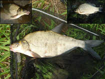 foto/diskuze/z_lovu/2012/th-img48771.jpg