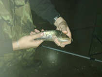 foto/diskuze/z_lovu/2012/th-img48781.jpg