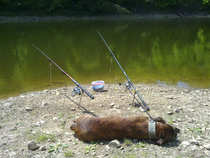 foto/diskuze/z_lovu/2012/th-img48782.jpg