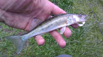 foto/diskuze/z_lovu/2012/th-img48785.jpg