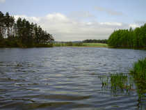 foto/diskuze/z_lovu/2012/th-img48788.jpg