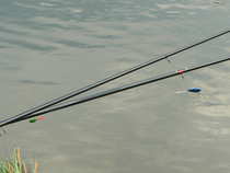 foto/diskuze/z_lovu/2012/th-img48804.jpg