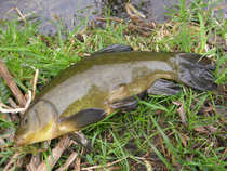 foto/diskuze/z_lovu/2012/th-img48812.jpg