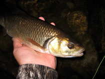 foto/diskuze/z_lovu/2012/th-img48841.jpg