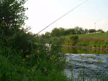 foto/diskuze/z_lovu/2012/th-img48855.jpg