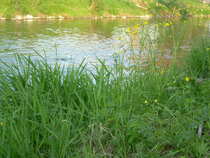 foto/diskuze/z_lovu/2012/th-img48857.jpg