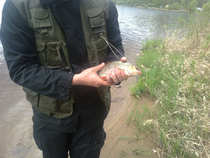 foto/diskuze/z_lovu/2012/th-img48872.jpg