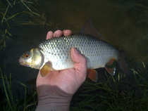 foto/diskuze/z_lovu/2012/th-img48874.jpg