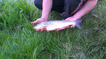 foto/diskuze/z_lovu/2012/th-img48893.jpg