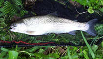 foto/diskuze/z_lovu/2012/th-img48903.jpg