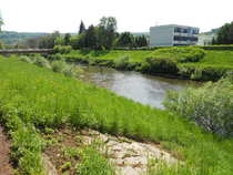 foto/diskuze/z_lovu/2012/th-img48918.jpg