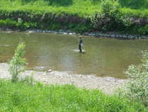 foto/diskuze/z_lovu/2012/th-img48919.jpg