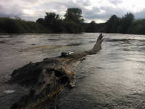 foto/diskuze/z_lovu/2012/th-img48930.jpg
