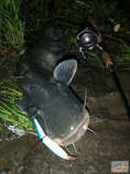 foto/diskuze/z_lovu/2012/th-img48938.jpg