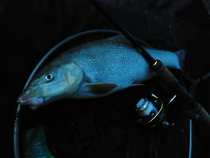 foto/diskuze/z_lovu/2012/th-img48944.jpg