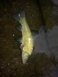 foto/diskuze/z_lovu/2012/th-img48959.jpg