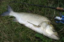 foto/diskuze/z_lovu/2012/th-img48961.jpg
