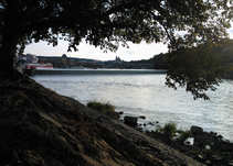 foto/diskuze/z_lovu/2012/th-img48974.jpg