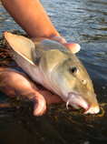 foto/diskuze/z_lovu/2012/th-img48977.jpg
