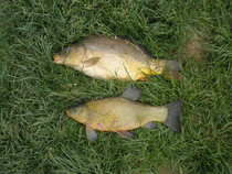 foto/diskuze/z_lovu/2012/th-img48980.jpg