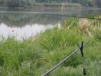 foto/diskuze/z_lovu/2012/th-img48982.jpg