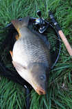 foto/diskuze/z_lovu/2012/th-img48984.jpg