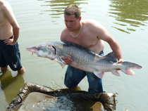 foto/diskuze/z_lovu/2012/th-img48985.jpg
