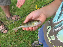 foto/diskuze/z_lovu/2012/th-img48993.jpg