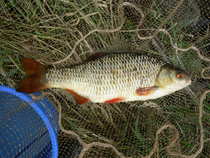 foto/diskuze/z_lovu/2012/th-img48995.jpg