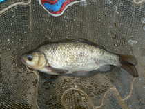 foto/diskuze/z_lovu/2012/th-img48996.jpg