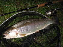 foto/diskuze/z_lovu/2012/th-img49009.jpg