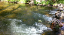 foto/diskuze/z_lovu/2012/th-img49012.jpg