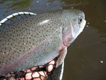 foto/diskuze/z_lovu/2012/th-img49020.jpg