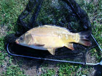 foto/diskuze/z_lovu/2012/th-img49022.jpg